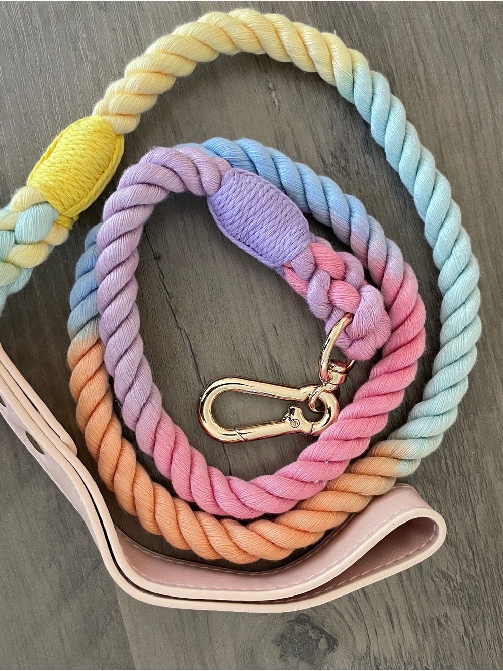Pastel Rainbow Rope Dog Leash with Gold Hardware